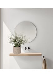 Maori Green Leaf in Charlie Grey Pot