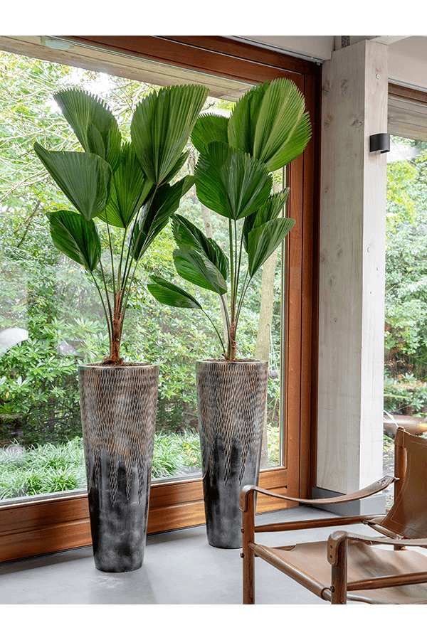 Luxe Planter Comet Bronze
