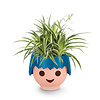 Spiderplant Ocean in Ojo Kids Pot