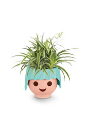 Spiderplant Ocean in Ojo Kids Pot