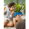 Spiderplant Ocean in Ojo Kids Pot