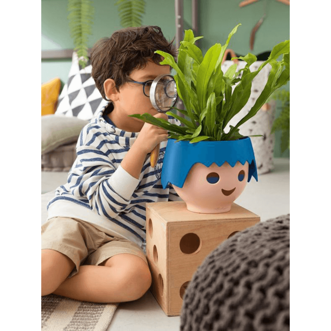 Spiderplant Ocean in Ojo Kids Pot