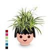 Spiderplant Ocean in Ojo Kids Pot