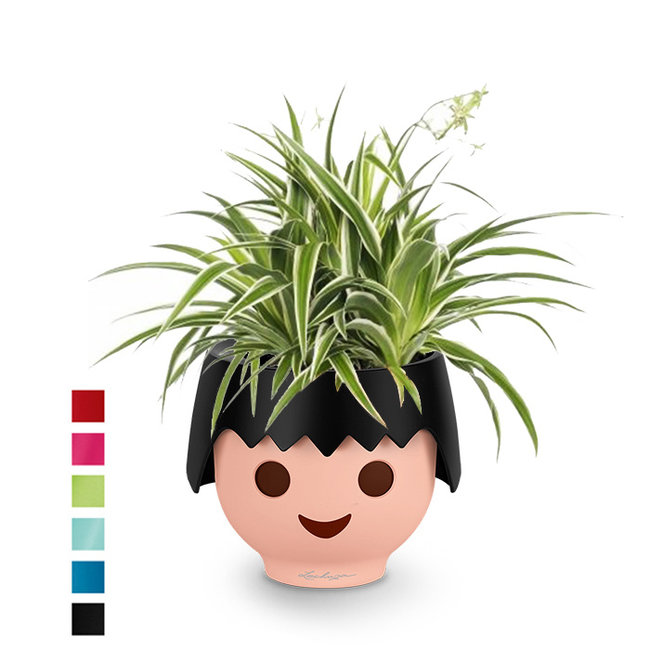 Spiderplant Ocean in Ojo Kids Pot