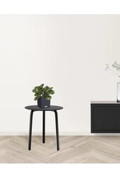 Vetplant in Zelfwatergevende Trend