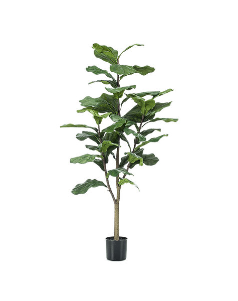 Kunstplant Ficus