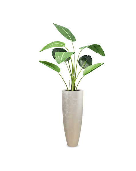 Kunstplanten | kwaliteit nep planten - Fleurdirect