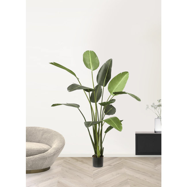 Strelitzia XL kunstplant