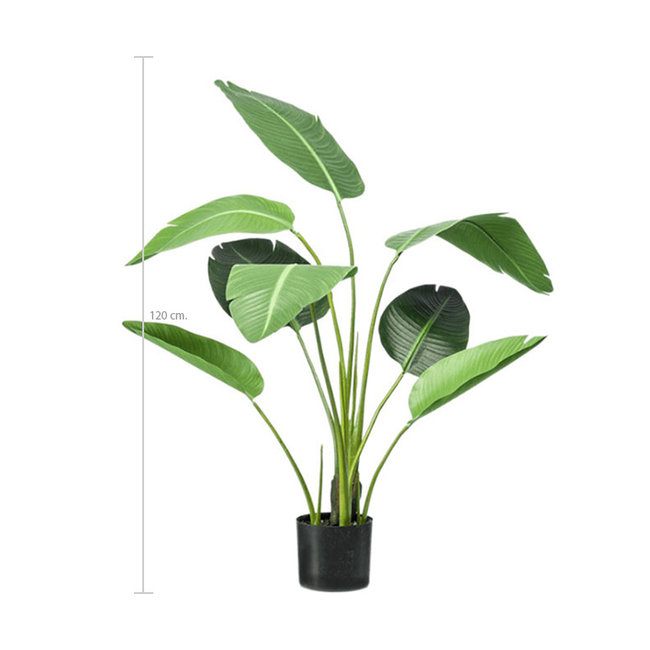 Strelitzia kunstplant