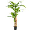 Bananenplant kunstplant