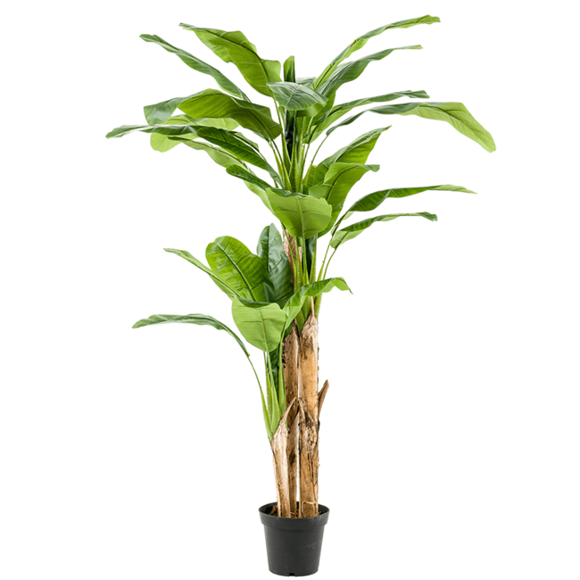 Bananenplant kunstplant