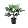 Fatsia Kunstplant