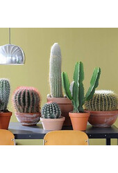 Classic Terracotta Bloempot 50  - sale