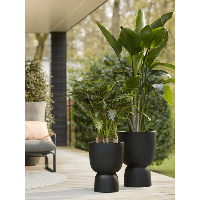 tweedehands Afbreken lassen Pure® Coupe Black | Snelle levering | Fleurdirect - Fleurdirect