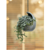 Baq Gradient Hanging cocoon matt grey