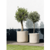 Baq Raindrop Cylinder Beige