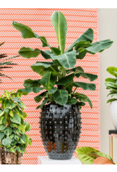 Laos pot zwart M