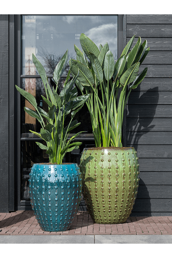 Laos pot blauw M