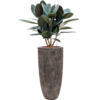 Luxurious Waterval Pot Hoog