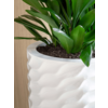 Luxe Planter Glossy