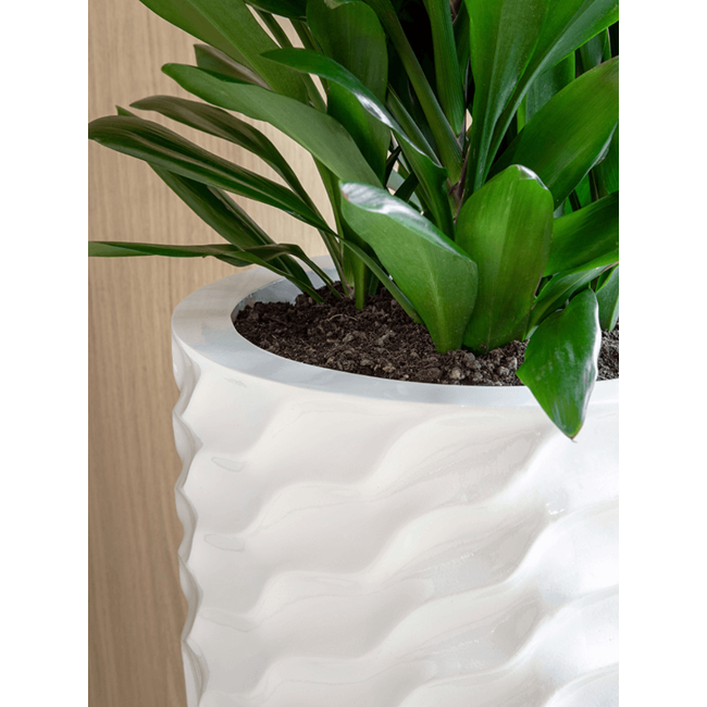 Luxe Planter Glossy