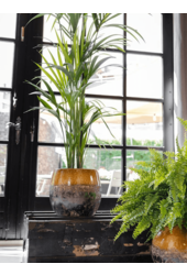 Pot Lindy Green Black