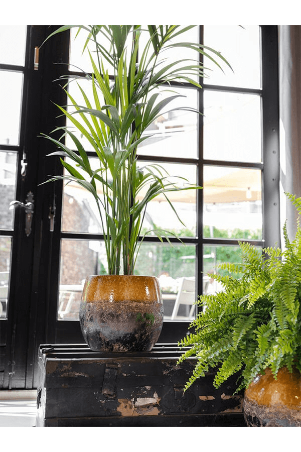 Pot Lindy Green Black