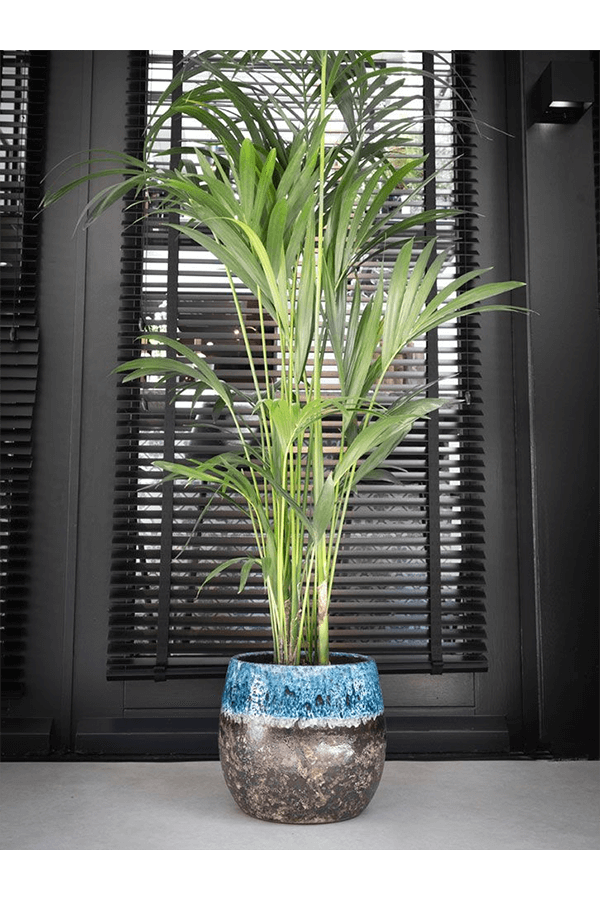 Pot Lindy Green Black