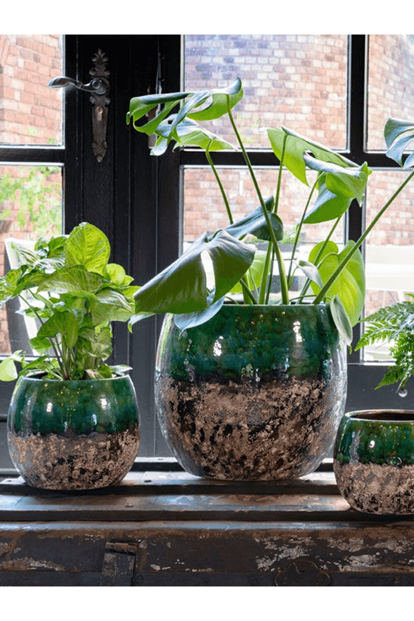 Pot Lindy Green Black