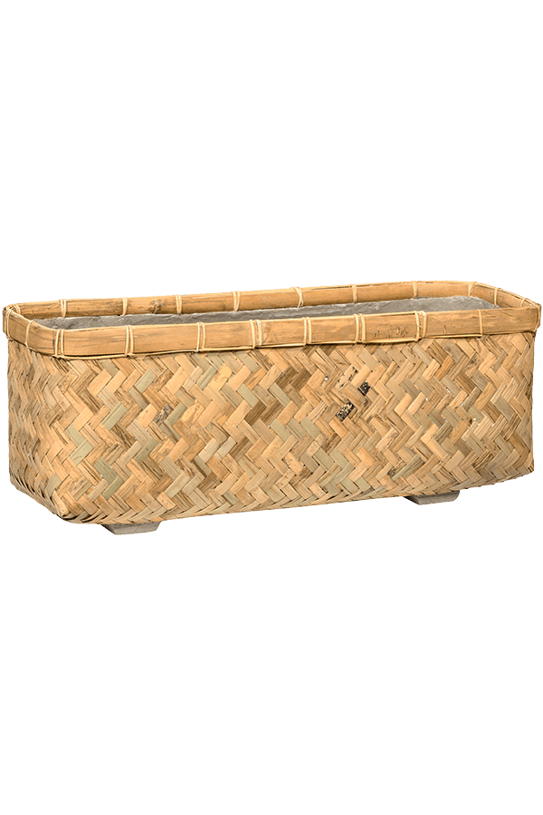 Bohemian Nouri S Bamboo