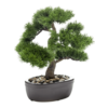 Pinus kunstplant