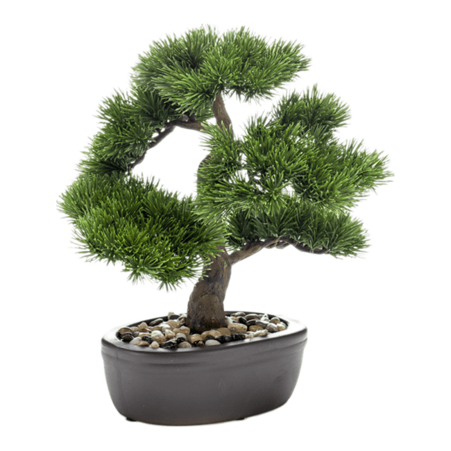 Pinus kunstplant
