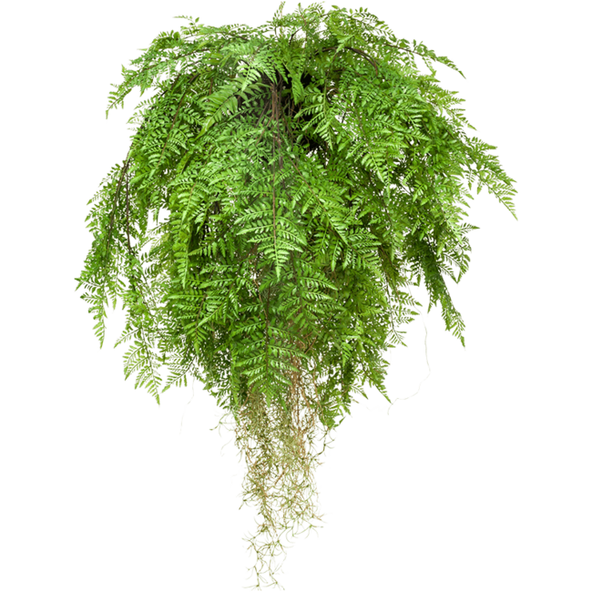 Fern With Roots kunstplant