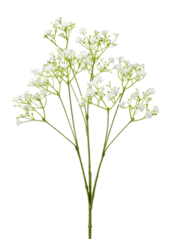 Gypsophila kunstplant