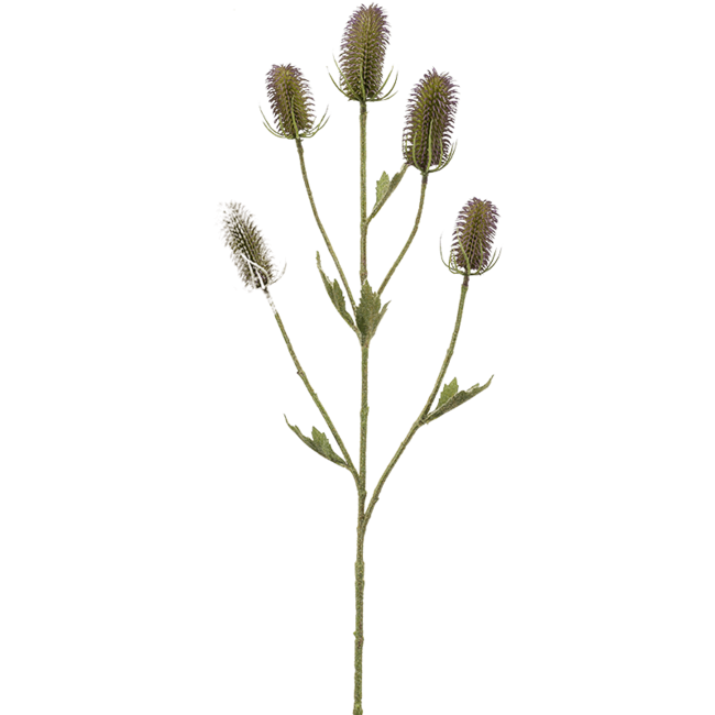 Dipsacus kunstplant