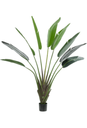 Strelitzia kunstplant