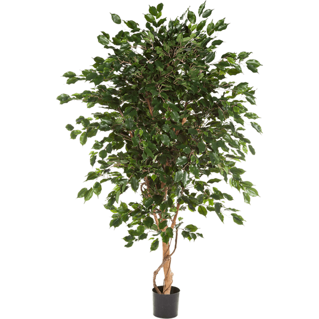 Ficus Exotica kunstplant