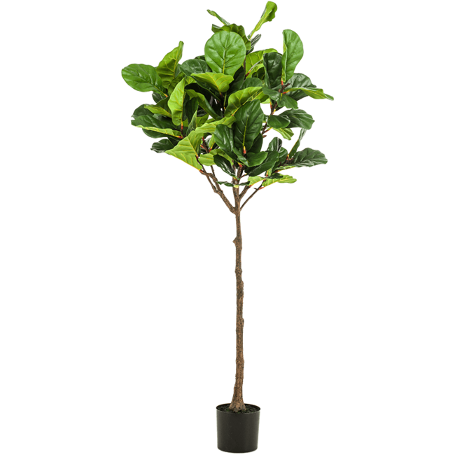 Ficus Lyrata kunstplant