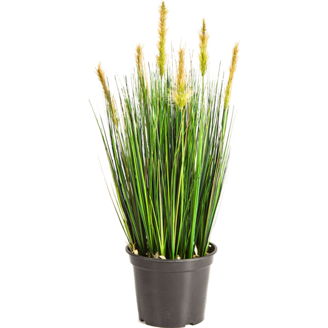 Grass Foxtail kunstplant