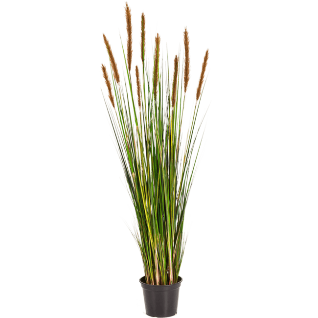Grass Foxtail kunstplant