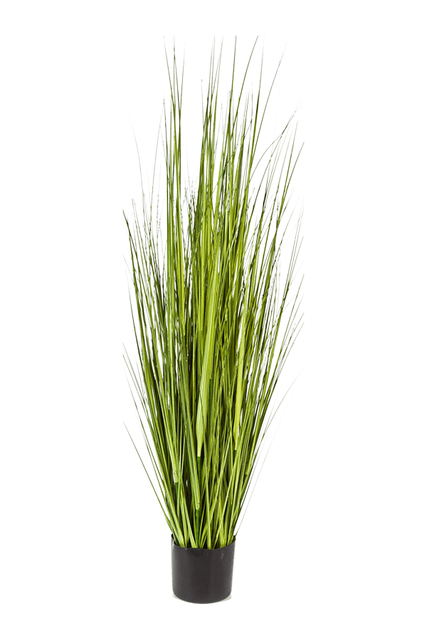 Grass Carex kunstplant