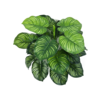 Calathea kunstplant