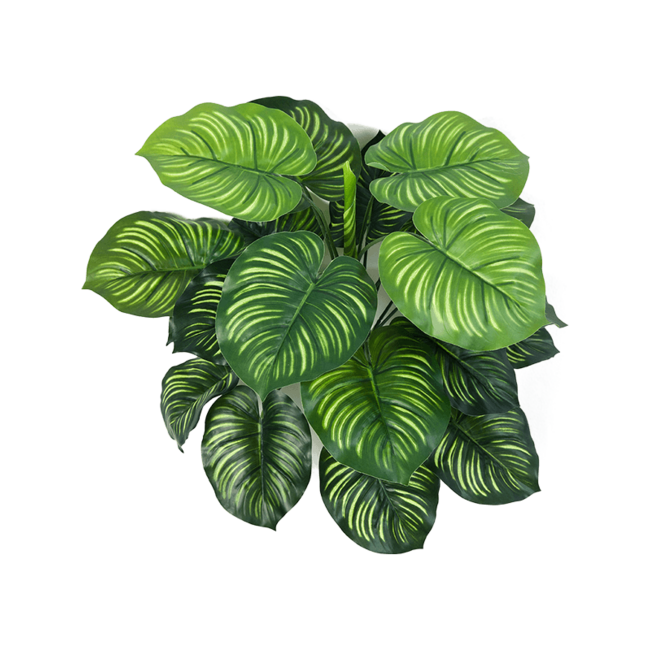 Calathea kunstplant