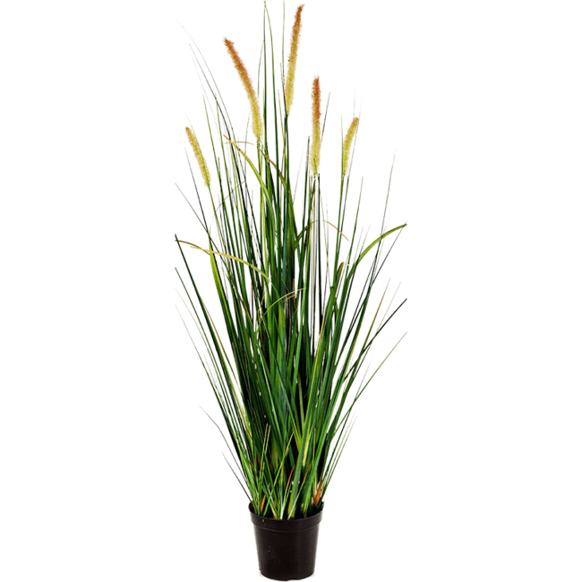 Grass Foxtail kunstplant