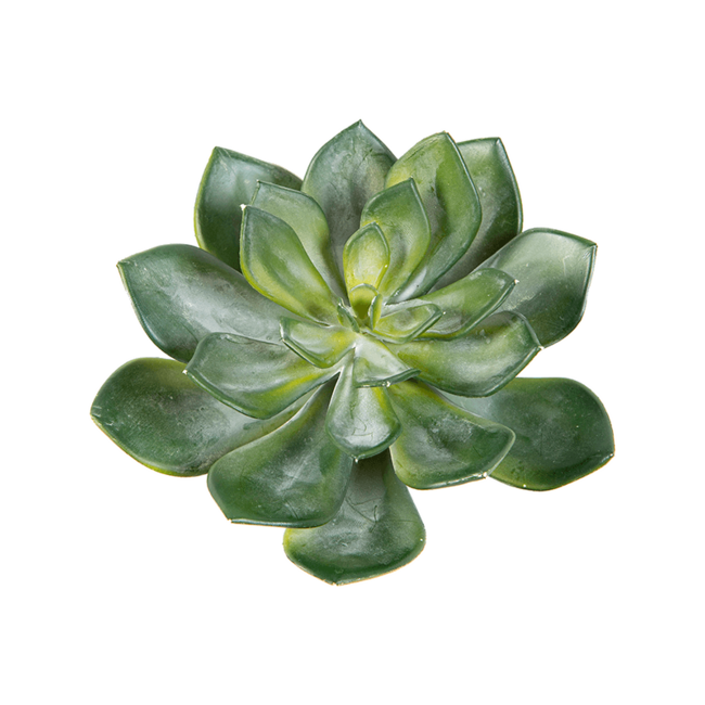 Echeveria kunstplant