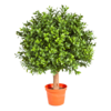 Boxwood kunstplant