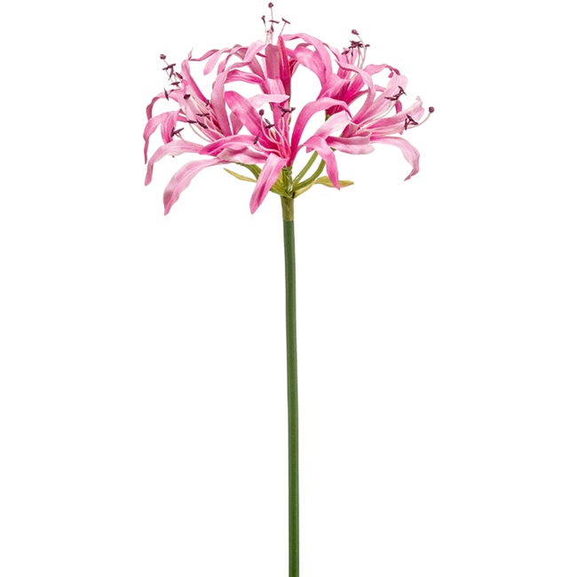 Nerine kunstplant