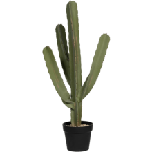 Cactus Cereus kunstplant
