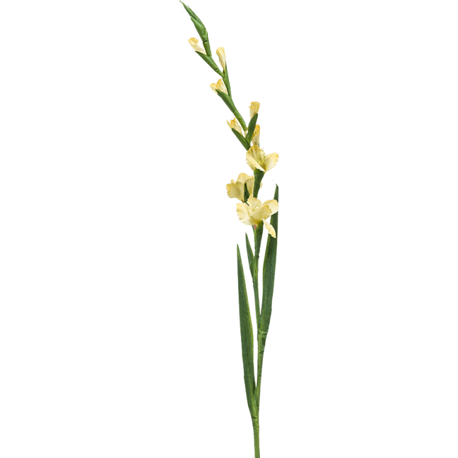 Gladiolus kunstplant