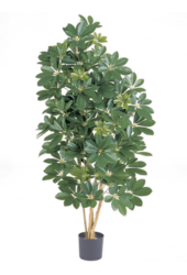Schefflera kunstplant
